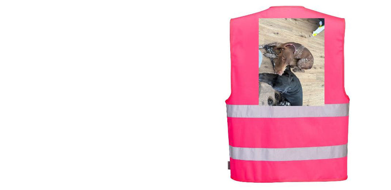 Custom PINK Safety Vest Reflective Hi-Vis Work and Event Style Vest